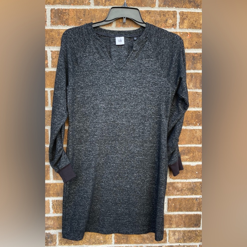 Cabi Long Sleeve Knit Tshirt Jersey Raglan Sleeve Charcoal Vneck Dress Sz S